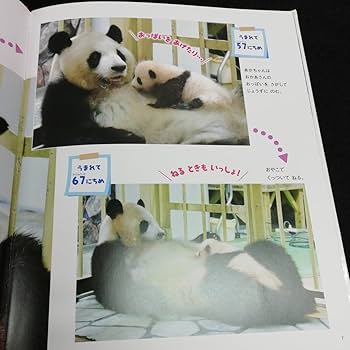 Amazon.co.jp: e-005 しぜん5 パンダ キンダーブック フレーベル